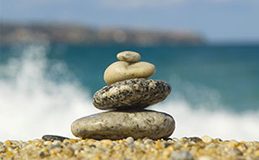 Enseignements sous-titrés en Français